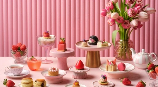 TheLandingPointatTheFullertonBay7